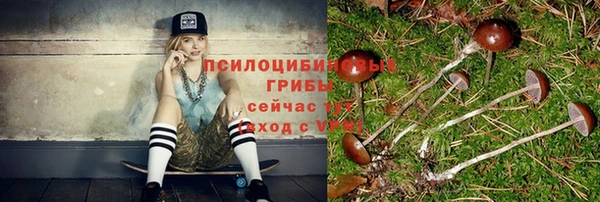 соль курить ск Балахна