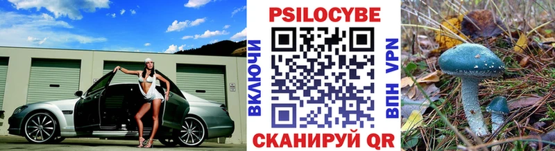 Псилоцибиновые грибы Psilocybine cubensis  Нязепетровск 
